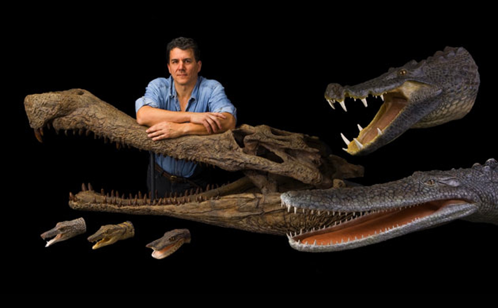 Cretaceous-Crocodyliforms-002